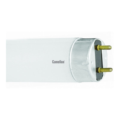 Лампа люмин. 18W G13 604мм Т8 6500К белая Camelio