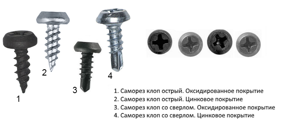 _ (1).jpg